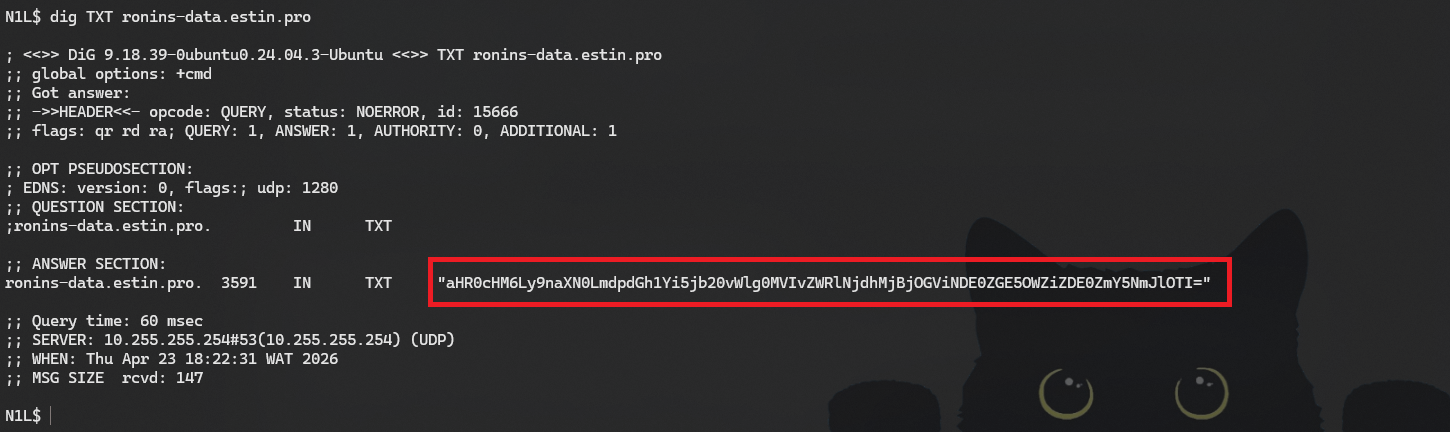 DNS TXT Record