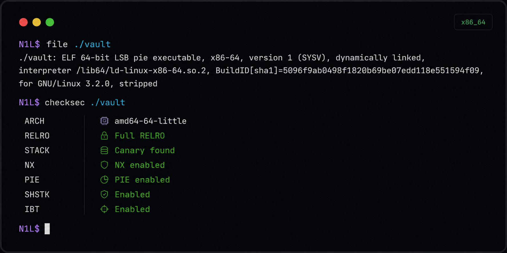 vault checksec